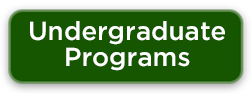 Undergrad Programs Btn